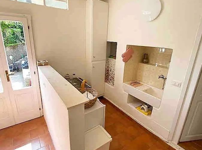 Nanowine *
